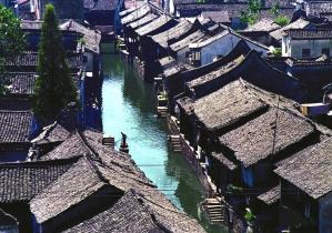 向上跳的香蕉