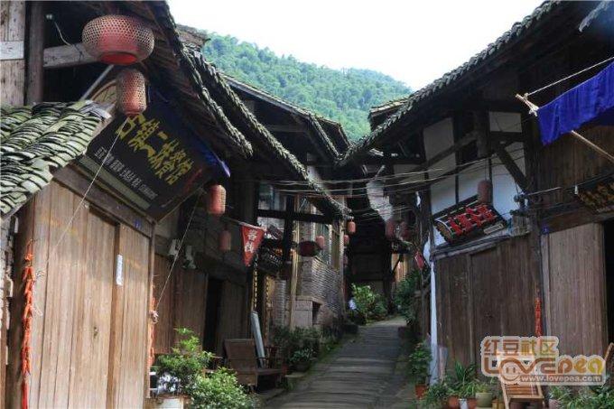 桂林市叠七星区【中药采购】安国市场1月19中药行情(附价格)